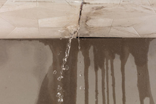 Professional Water Damage Repair technician working in Chatfield, OH